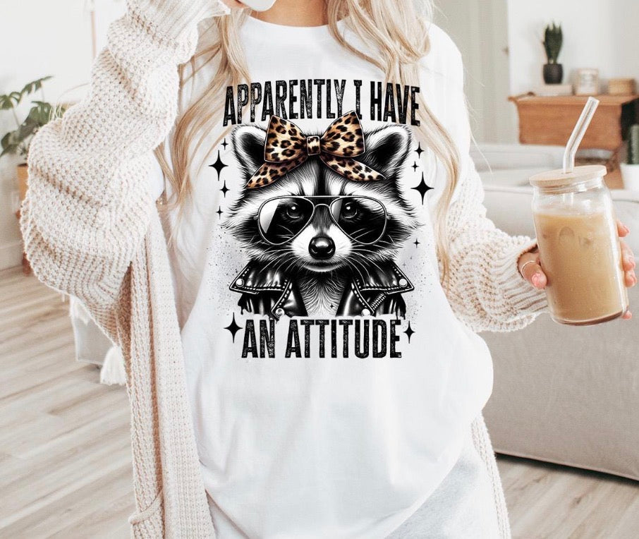 Apparently I have an attitude raccoon