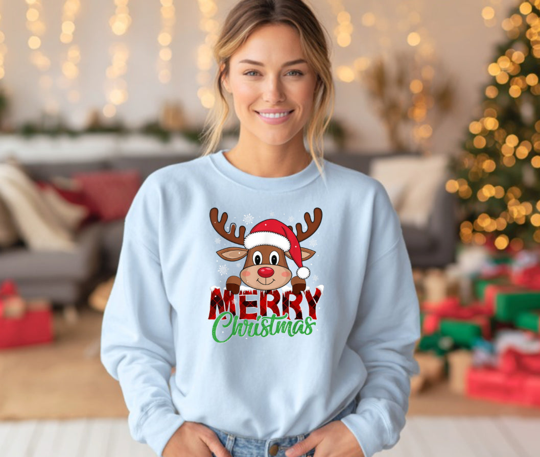 Merry Christmas Reindeer Tee & Sweatshirt
