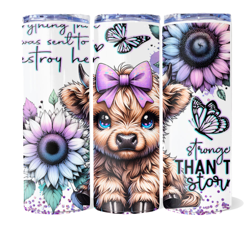 Affirmation 20 oz tumblers