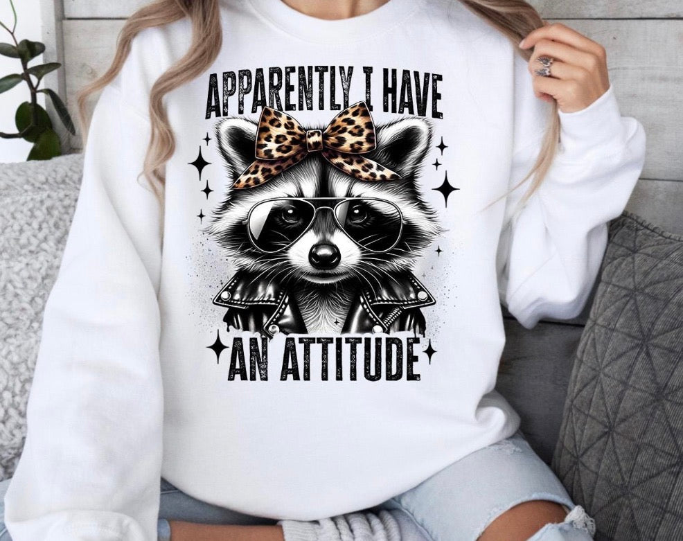 Apparently I have an attitude raccoon